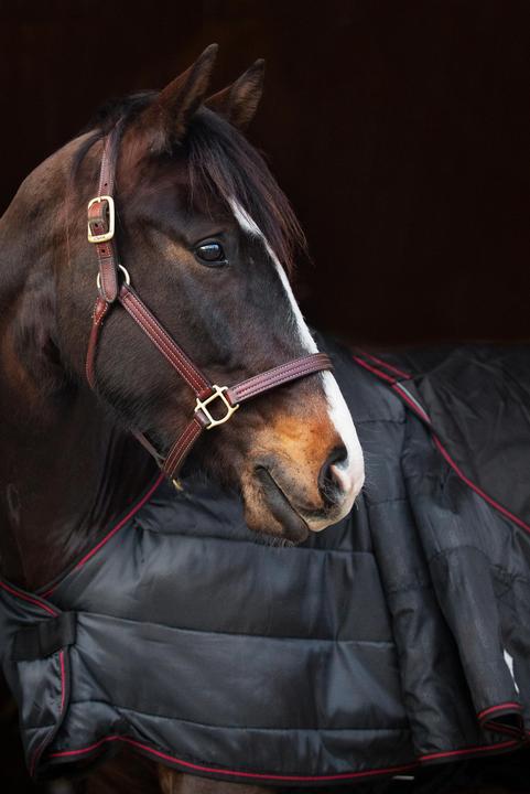 Produktbild Catago Dual Pro 100 g (145 cm)