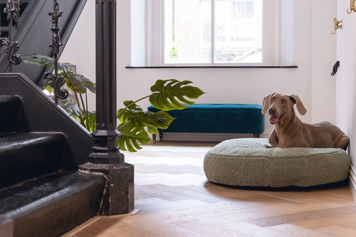 Image du produit Designed by Lotte Lit de repos Ribbed (Chien)