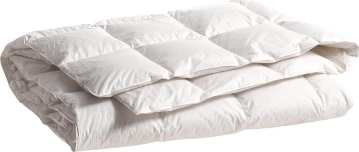 Produktbild Johann Jakob Basic (650 g, 240 x 240 cm)