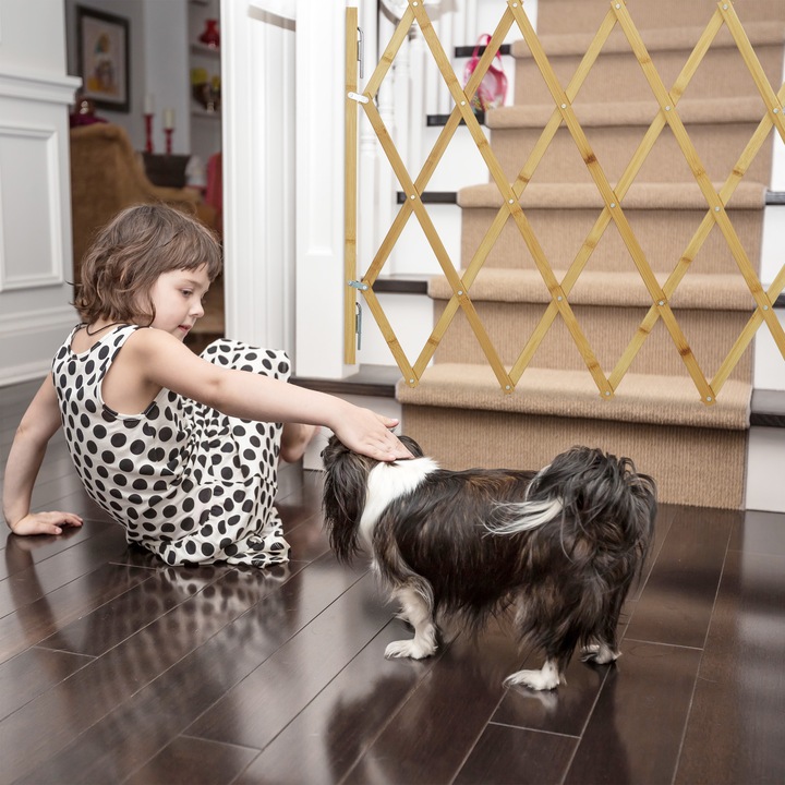 Image du produit Relaxdays Barrière pour chien, protection