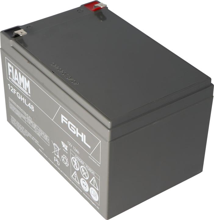 Actual product image Fiamm 12FGHL48 Lead PB Battery 12 Volt 12000mAh with Faston 6.3mm Contacts (12 V, 12 Ah)