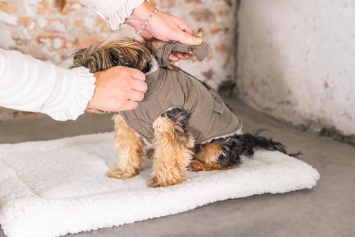 Immagine prodotto Designed by Lotte Cappotto per cani Philos (XS, Cappotto per cani)