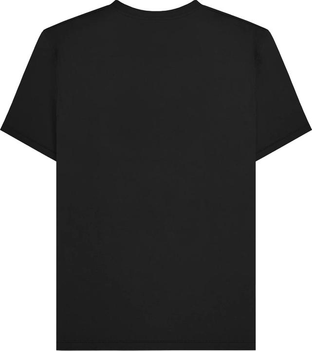 Actual product image Lambretta Mens AW24 Two Tone Panelled T-Shirt (XL)