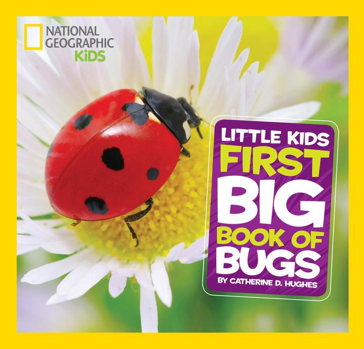Produktbild National Geographic Little Kids First Big Book of Bugs (Englisch, Catherine D. Hughes, 2014)