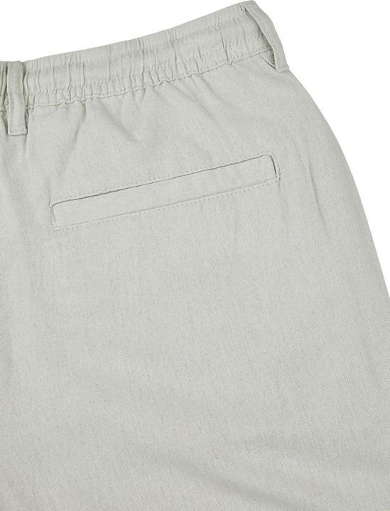Image du produit Denimfy DFAlessio Shorts Regular Fit (S)