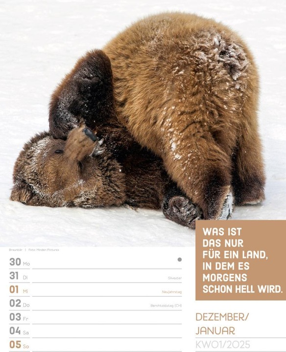 Produktbild Tierisch! Sprüchekalender - Wochenplaner Kalender 2025 (25 x 33 cm, Harter Einband, Deutsch)