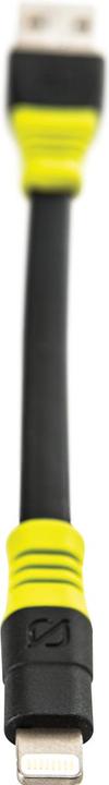 Image du produit Goal Zero USB A – Lighting (0.25 m, USB 2.0)