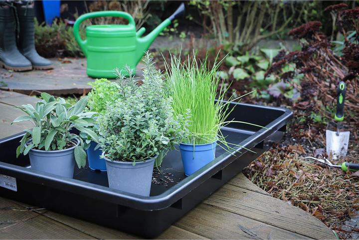 Actual product image BGS Multi-purpose tub