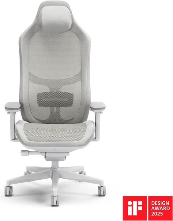 Actual product image Fractal Gaming chair Refine Mesh Light (shipping)