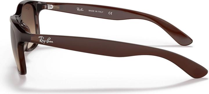 Produktbild Ray Ban Rb4202