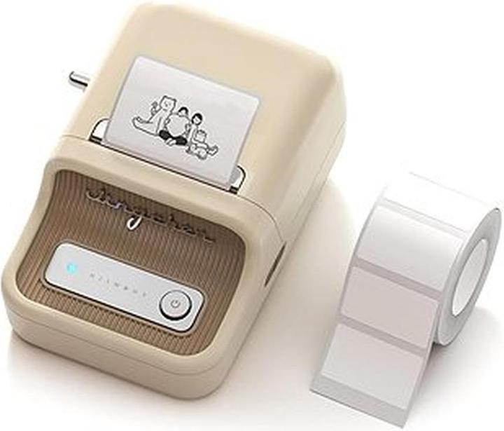 Actual product image Niimbot B21 (203 dpi)