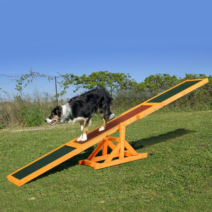 Image du produit PawHut Videur de chien (Agility)