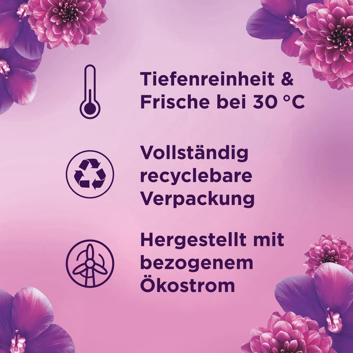 Image du produit Lenor Améthyste Rêve floral (100 Cycles de lavage, Lessive liquide)