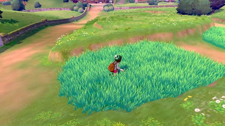 Actual product image Nintendo Pokemon Sword (Switch, Switch Lite, Switch OLED, EN)