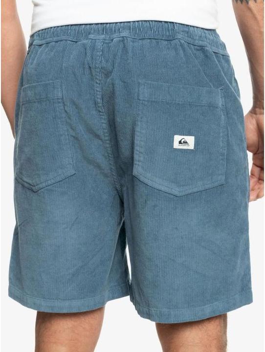 Actual product image Quiksilver Taxer Cord