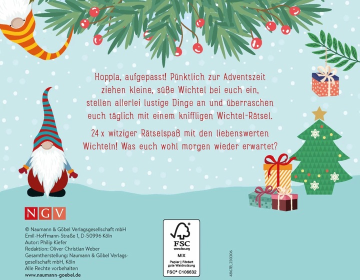 Image du produit 24 énigmes des lutins