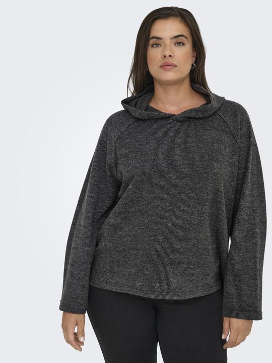 Immagine prodotto Only CARBIZZY Sweatshirt Kapuzenpullover (M)