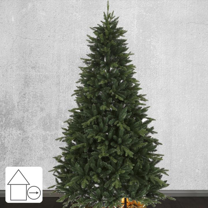 Image du produit Star Trading Bergen (210 cm)