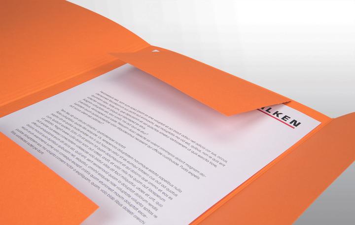 Produktbild Falken Sammelmappe, DIN A4, Einschlagklappen, Manilakarton (A4, 1 x)