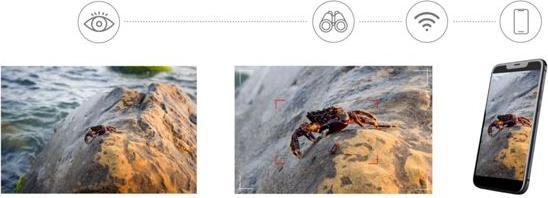 Image du produit Levenhuk Kelvin Snap ED 8x42 Digital Photomonocular (8x, 42 mm)