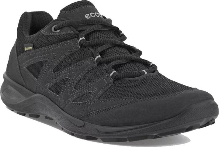 Image du produit Ecco Terracruise (45)