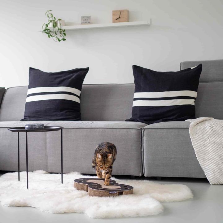 Actual product image District 70 Scratching board Snake, White (White)