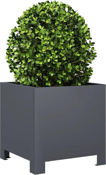 Produktbild vidaXL Pflanzkübel