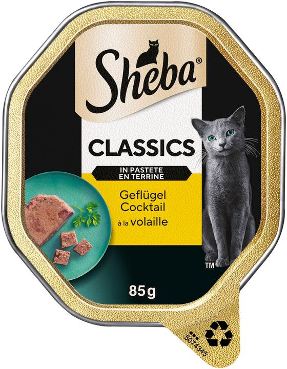 Produktbild Sheba Classics in Pastete (Adult, 1 Stk., 85 g)