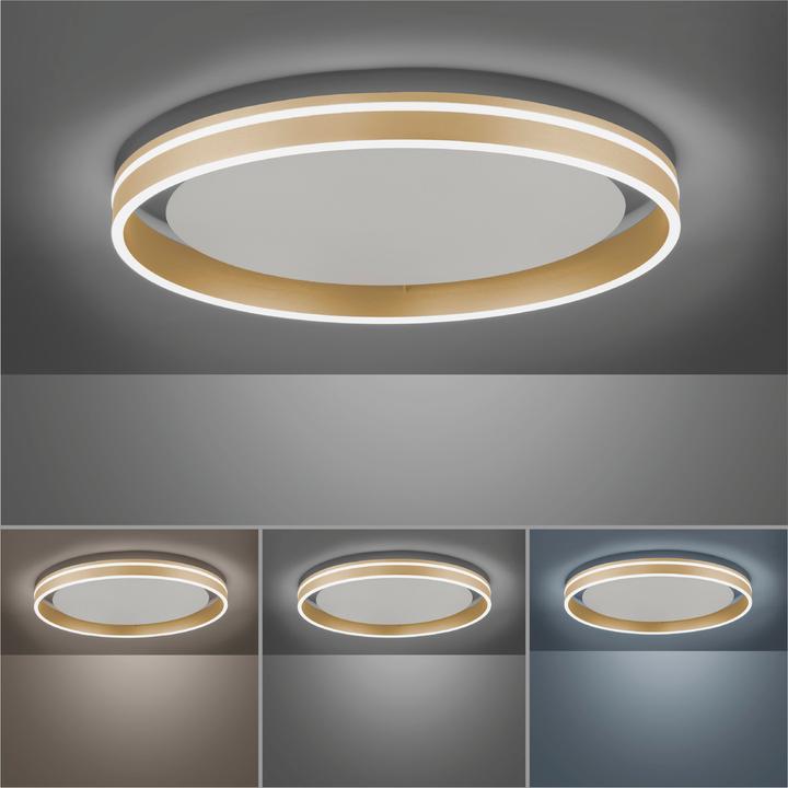 Immagine prodotto Q-Smart Q-VITO (4000 lm)