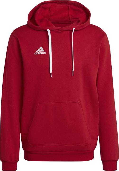 Actual product image adidas Entrada 22 hoodie men (XS)