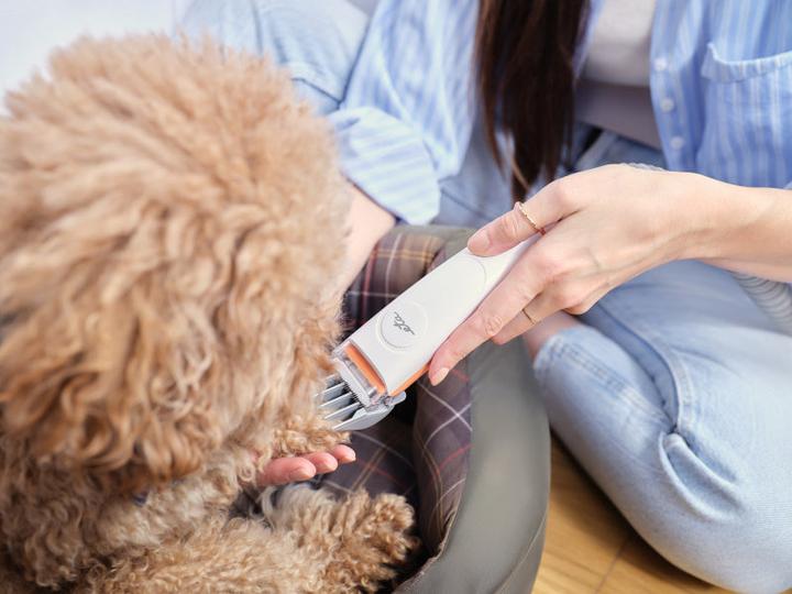 Produktbild ETA ETA421690000 PetMaster Vacuum Cleaner, White (Hund, Katze)