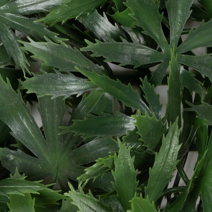 Actual product image Karat Maple (4.50 cm)