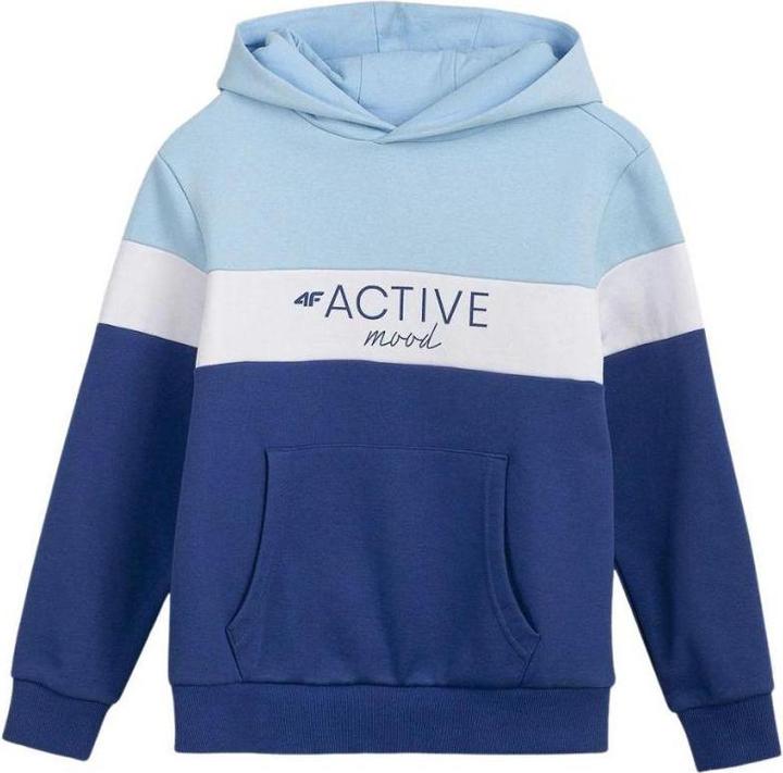 Produktbild 4F HJL22 Sweatshirt Mädchen (122)