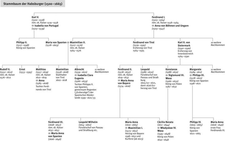 Actual product image Der Dreissigjährige Krieg (German, Peter H. Wilson, 2021)