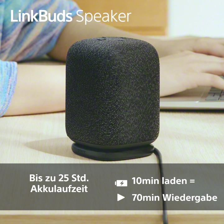 Productafbeelding Sony SRS-LS1 (25 h, Oplaadbare batterij)