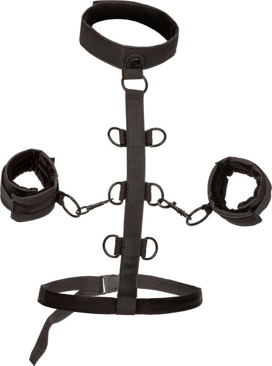 Actual product image CalExotics Boundless™ Collar Body Restraint