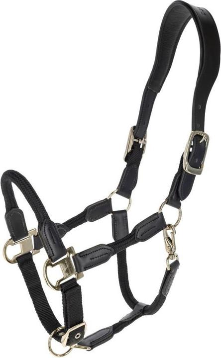 Produktbild Covalliero Cordano Delux