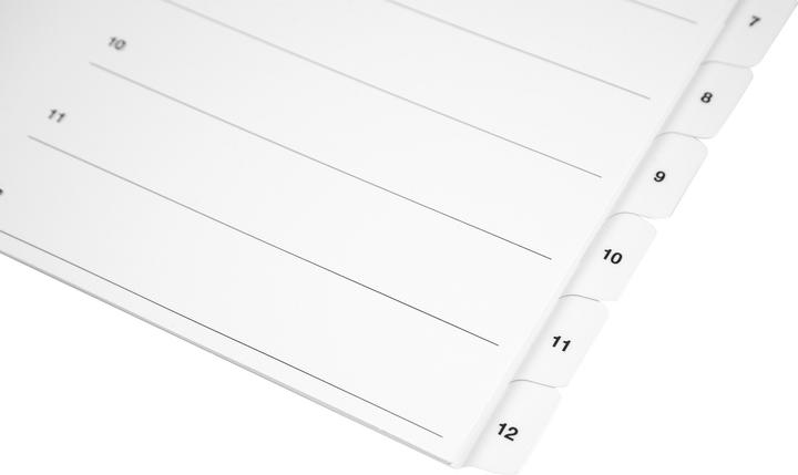 Produktbild Biella Register Karton A4 1-10, 4Loch