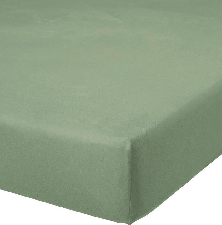 Vert pâle