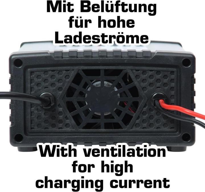Produktbild Dino Caricabatterie Automatico Intelligente (12V, 24V, 25 A)