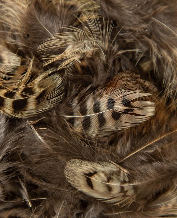 Actual product image I Am Creative Decorative feathers, natural feathers