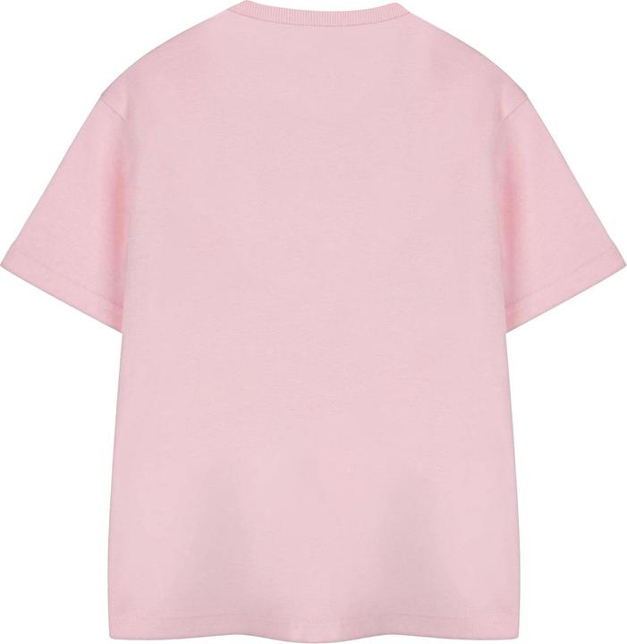 Actual product image Paw Patrol Girls Short-Sleeved Birthday T-Shirt (104)