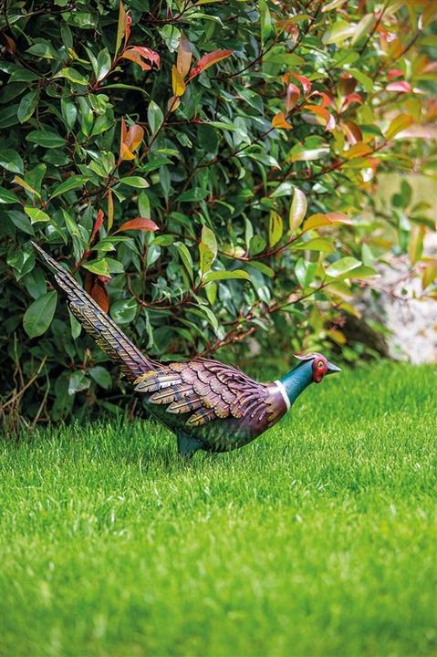 Produktbild Nenurodyta Garden decoration "Pheasant", 54 cm x 15 cm x 46 cm
