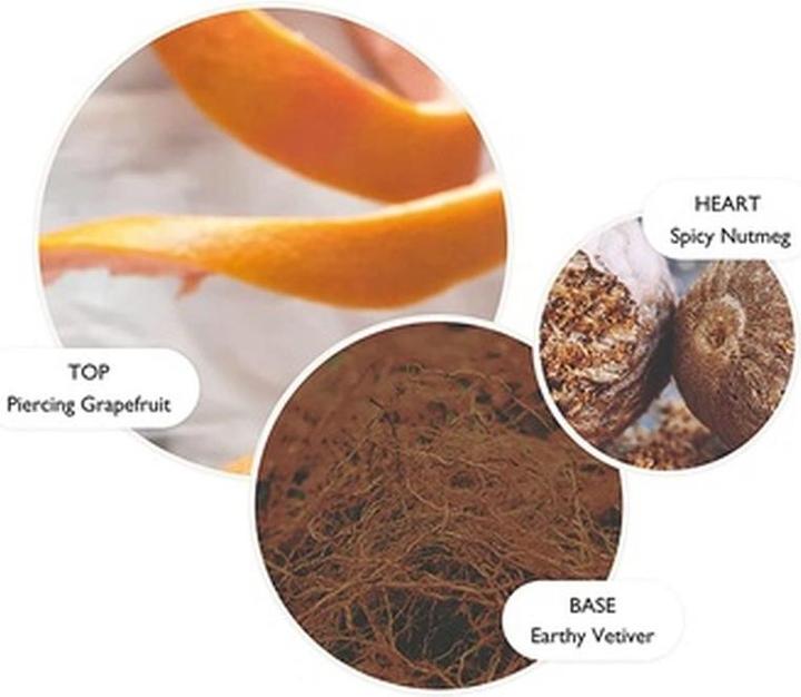 Actual product image Molton Brown Vetiver & Grapefuit Body Lotion (Body cream, 300 ml)