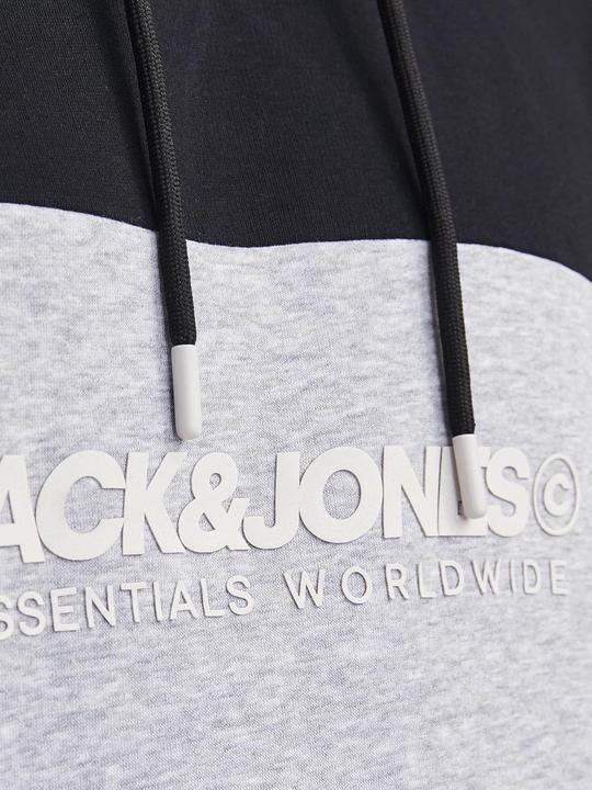 Produktbild Jack & Jones Jjelegacy Blocking Sweat Hood Noos Pls (6XL)