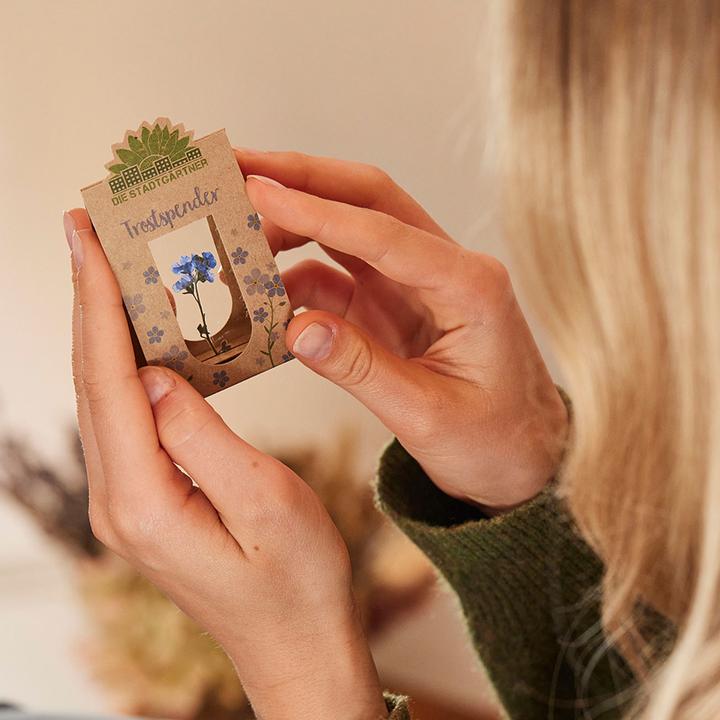 Produktbild Die Stadtgärtner Trostspender (Trockenblumen)