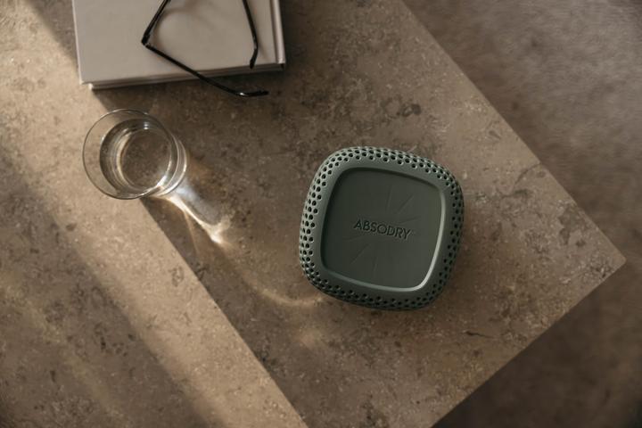 Actual product image Absodry Luftentfeuchter (30 m²)