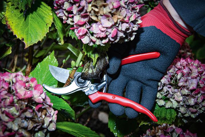 Image du produit BGS Leichtmetall-Gartenschere