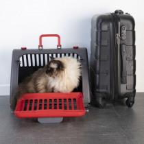 Produktbild Lola Toys Faltbare Transportbox aus Kunststoff 46*35*h33cm