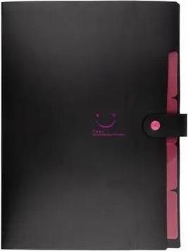 Beniamin A4-Kunststoffordner mit 5 Fächern, schwarz (A4)
